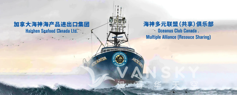 240816101225_blob-0001 2.png